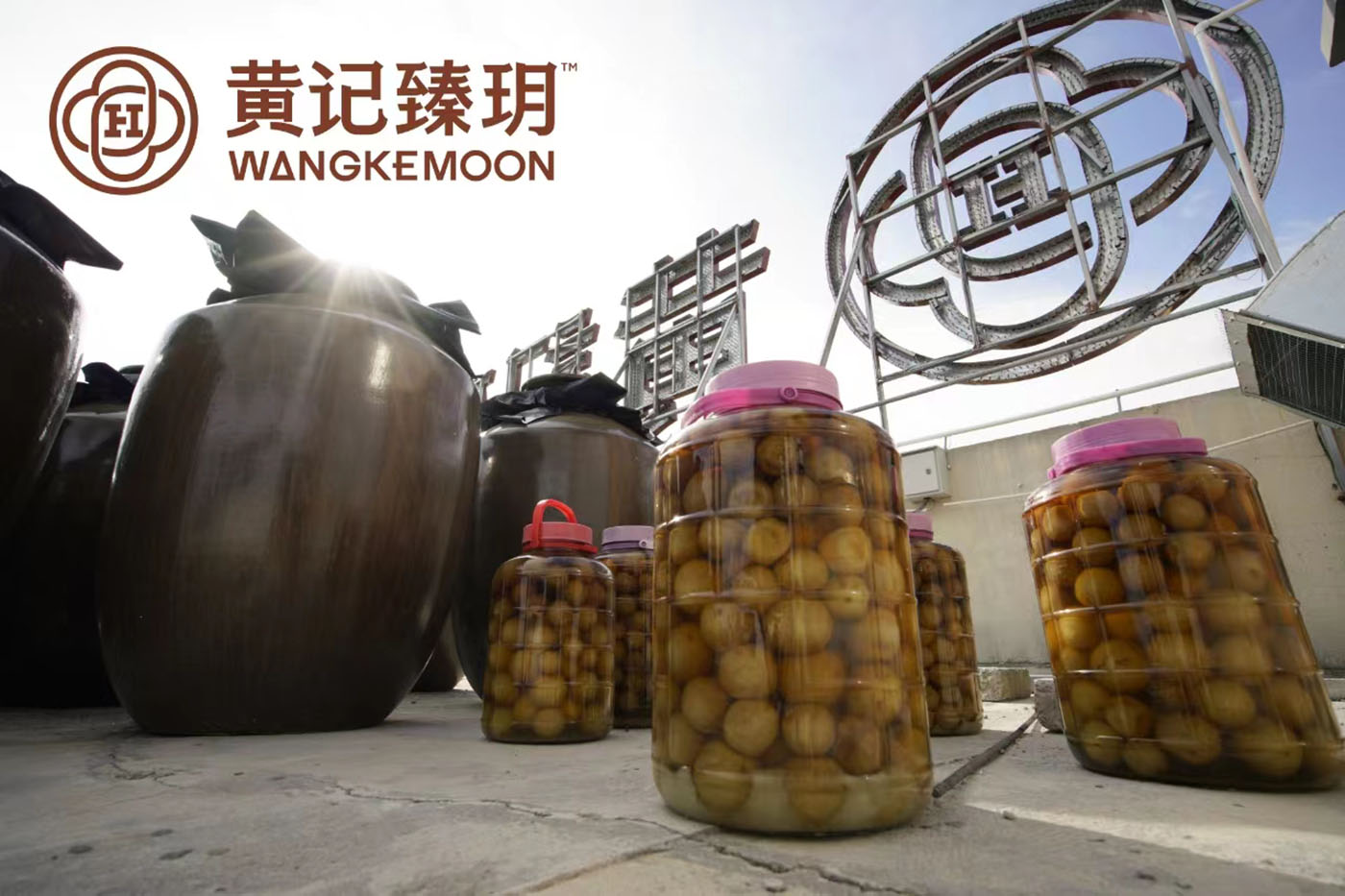 微信图片_20231103114201.jpg